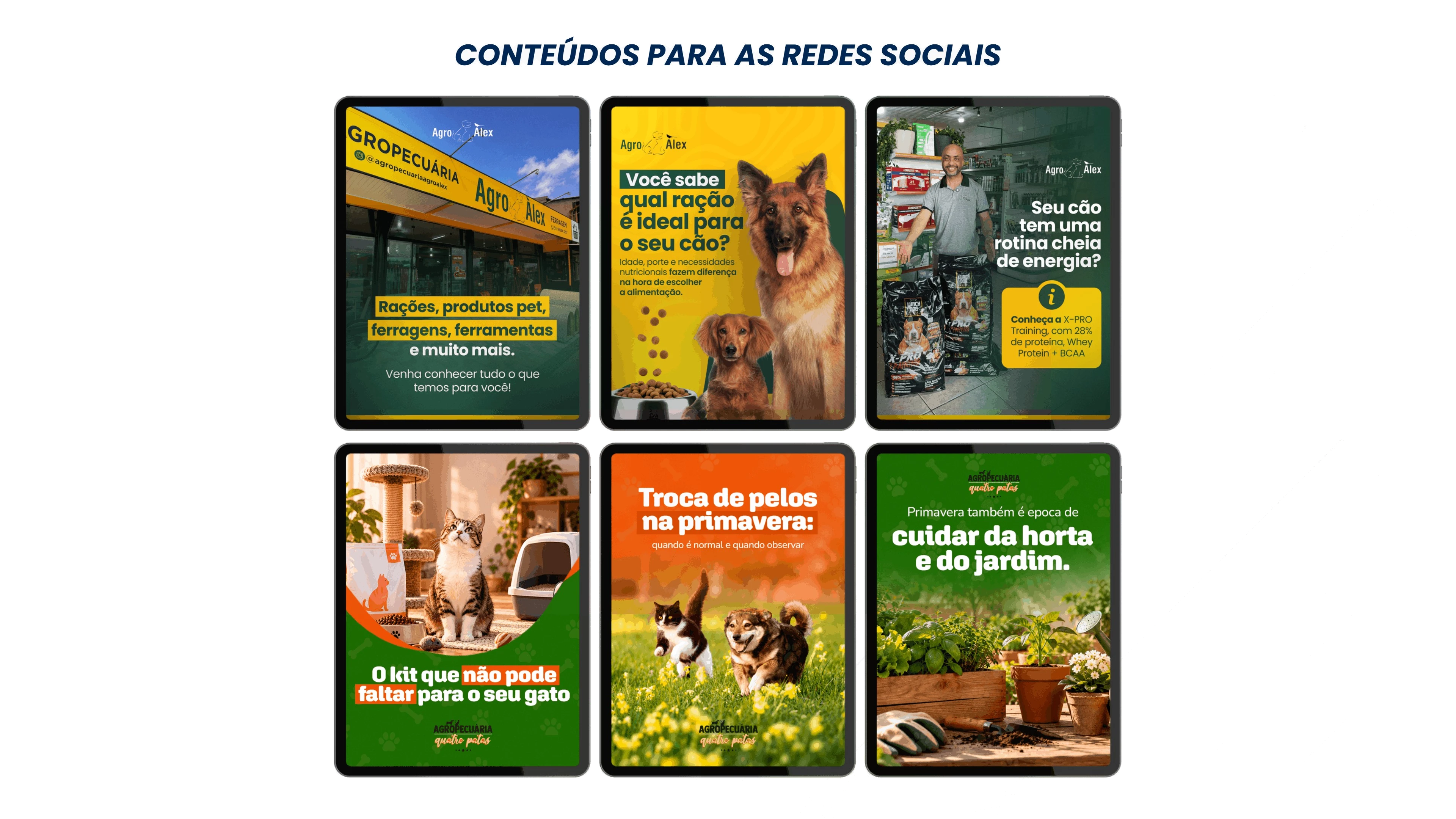 Seis publicações criadas para agropecuária